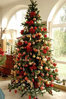 Decoratively: Large Christmas tree decorated with Christmas balls