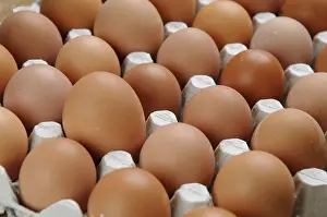 Lanes: A large egg double yellow on the left