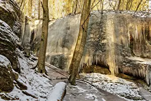 Gorge: Large frozen waterfall between snow-covered trees in a wintry forest landscape