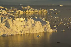 Midnight: large icebergs at midnight, end of June