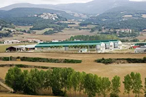 Battery: Large scale battery chicken farming