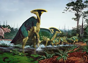 Reconstructions: Late Cretaceous dinosaurs