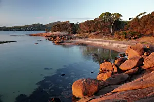 Pure: Late Light, Honeymoon Bay, Coles Bay, Freycinet