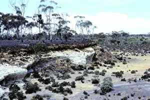 Soils: Laterite breakaway, West Australia