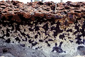 Soils: Laterite breakaway, West Australia