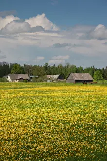 Northeastern: Latvia, Northeastern Latvia, Vidzeme Region