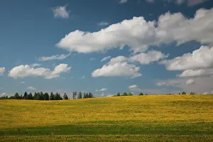 Northeastern: Latvia, Northeastern Latvia, Vidzeme Region