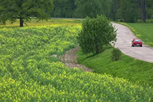 Northeastern: Latvia, Northeastern Latvia, Vidzeme Region