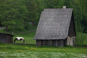 Northeastern: Latvia, Northeastern Latvia, Vidzeme Region