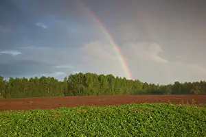 Northeastern: Latvia, Northeastern Latvia, Vidzeme Region