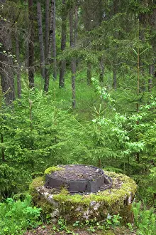 Northeastern: Latvia, Northeastern Latvia, Vidzeme Region