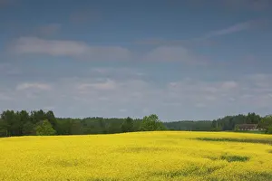 Latvia: Latvia, Western Latvia, Kurzeme Region
