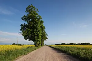 Latvia: Latvia, Western Latvia, Kurzeme Region
