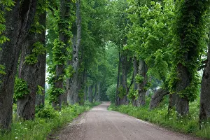 Walter: Latvia, Western Latvia, Kurzeme Region