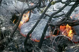 Burning: Lava Flow, Hawaii