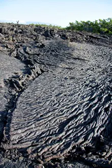 Isabela: Lava flow Moreno Point Isabela Island Galapagos Islands UNES