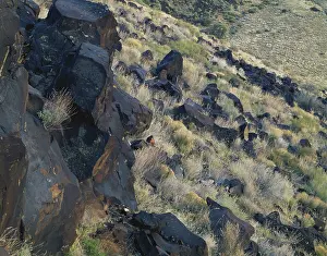Basaltic: Lava Rocks in Utah