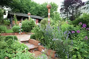 Steps: Lavender