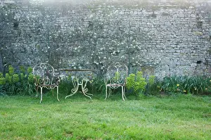 Cooperation: Lawn