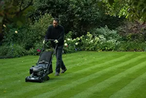 Composition: Lawn