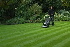 Composition: Lawn