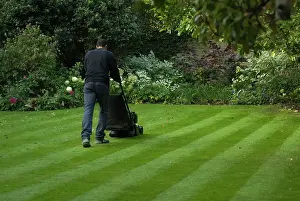 Composition: Lawn