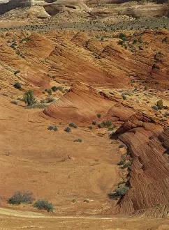 Bedding: Layered Sandstone