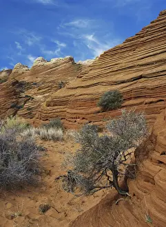 Bedding: Layered Sandstone