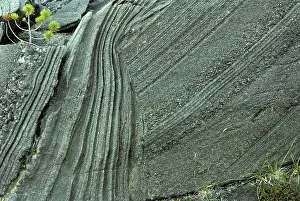 Layered: Layered ultramafic, Duke Island, Alaska