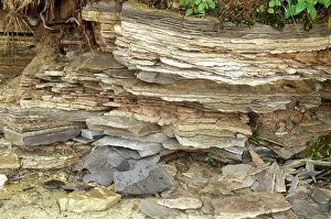 Flaking: Layers of Shale