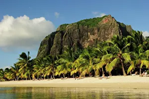 Mauritius: The Le Mont Brabant mountain rising behind palm