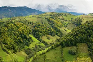 Bran: The Leaota Mountains (part of the southern Carpathians)