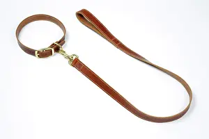 Leather: Leather dog collar & lead