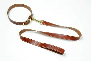 Leather: Leather dog collar & lead