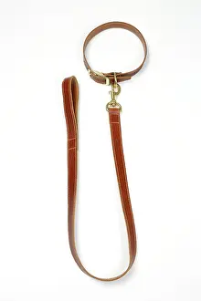 Leather: Leather dog collar & lead