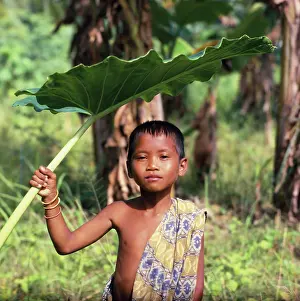Resourceful: Leaves
