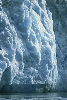 Terminal: LeConte Glacier