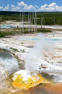 Geysers: Ledge Geyser - Porcelain Basin - part of the Norris