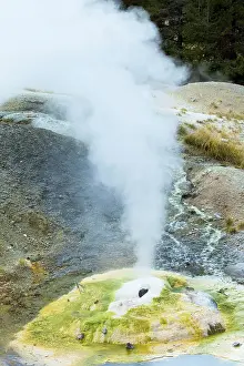 Metals: Ledge Keyser erupting in Norris Geyser Basin