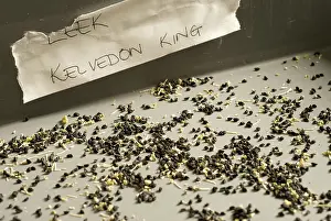 Collected: Leek