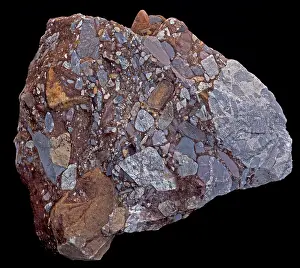 Conglomerate: Leesburg Conglomerate