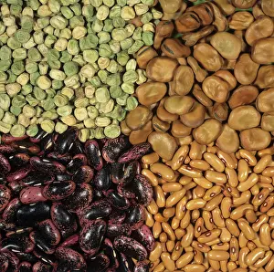 Peas: Legume seeds