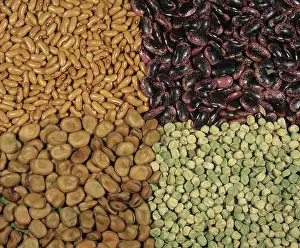 Peas: Legume seeds