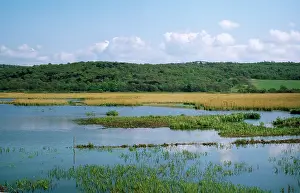 Emma Coghlan: Leighton Moss Nature Reserve (RSPB)