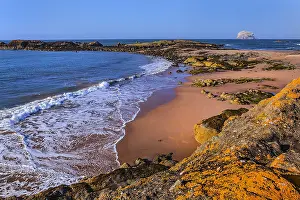 Berwick: The Leithies and Bass Rock - view from the coastline