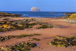 Berwick: The Leithies and Bass Rock - view from the coastline