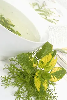 Balm: Lemon balm