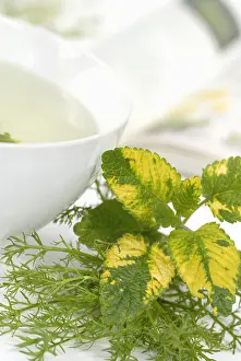 Balm: Lemon balm
