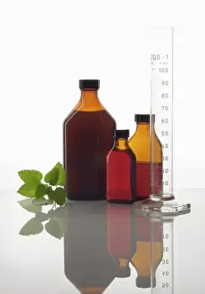 Triple: Lemon Balm