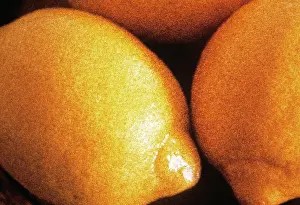 Photographic: Lemon